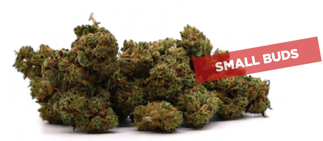 OG KUSH GLASSHOUSE small bud FLOWERS - 4G DESDE