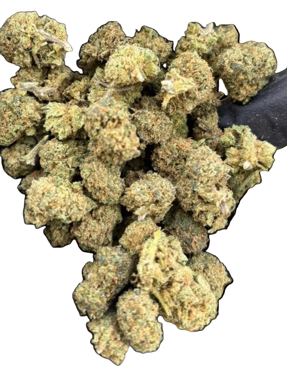 Flor Glasshouse Honey Cheese Small Buds - 28G Desde: