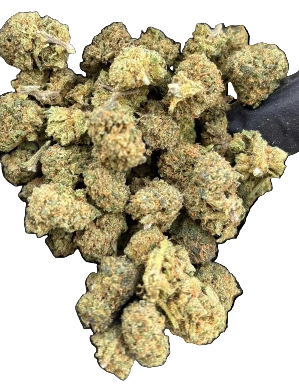 Flor Glasshouse Honey Cheese Small Buds - 28G Desde: