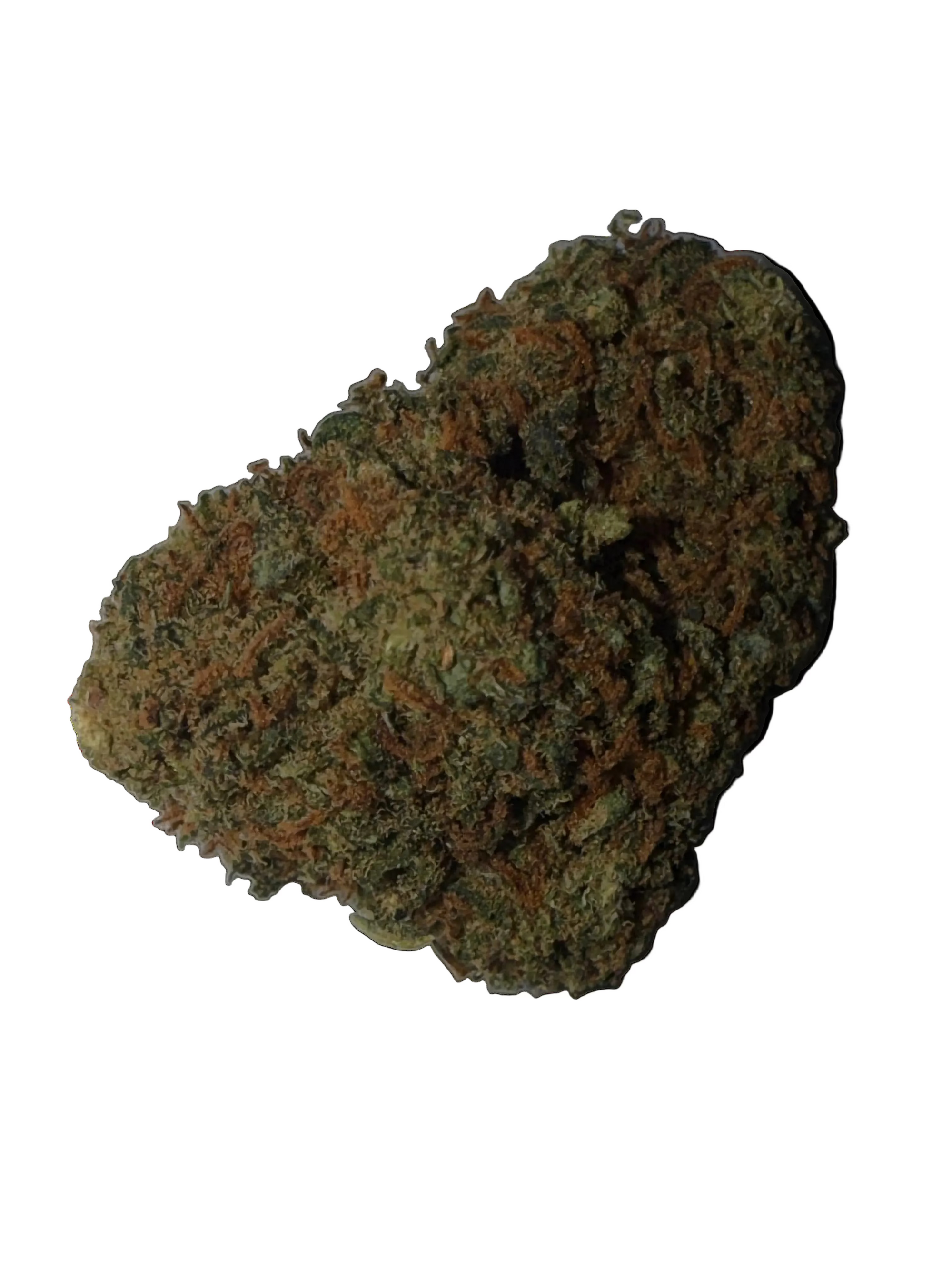 Flor Glashouse Orange Big Buds - 3G Desde: