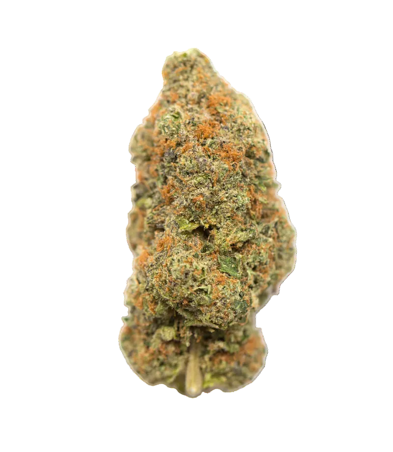 Flor Indoor Critical CBD Big Buds - 10G Desde: