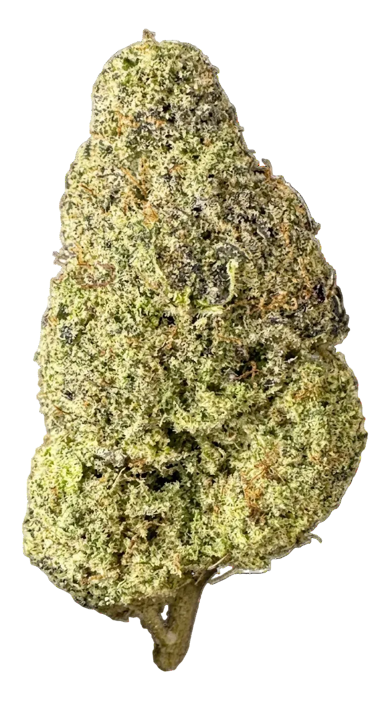 Flor Indoor Hidropónico Skxwaler Big Buds - 2G Desde: