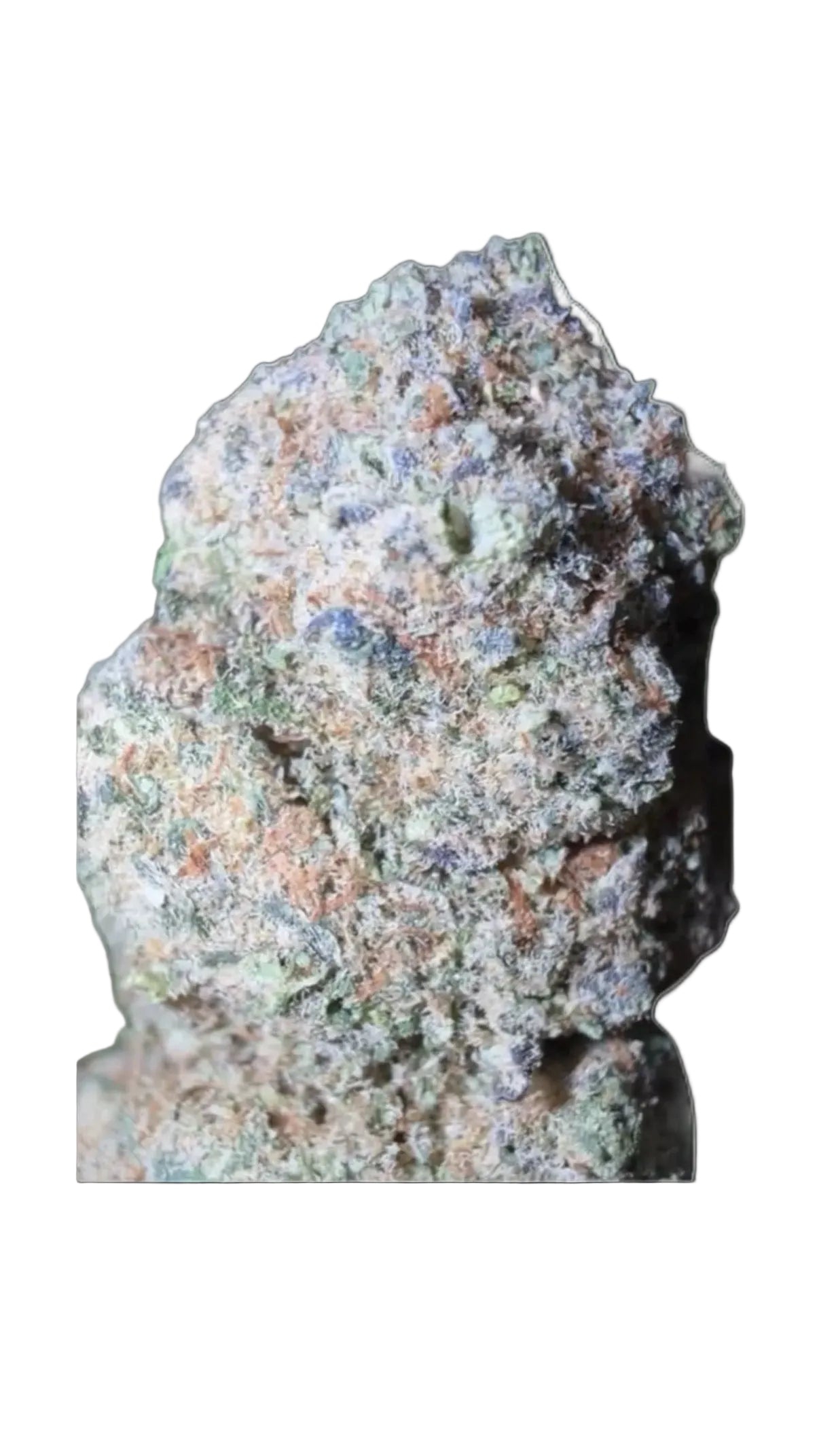 PLUTONIUM II - INDOOR IDROPONICO
