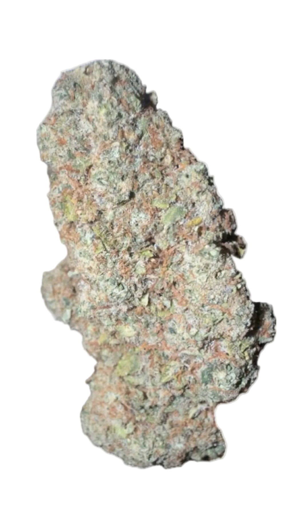 CALI LEMON INDOOR HIDROPÓNICO CBD