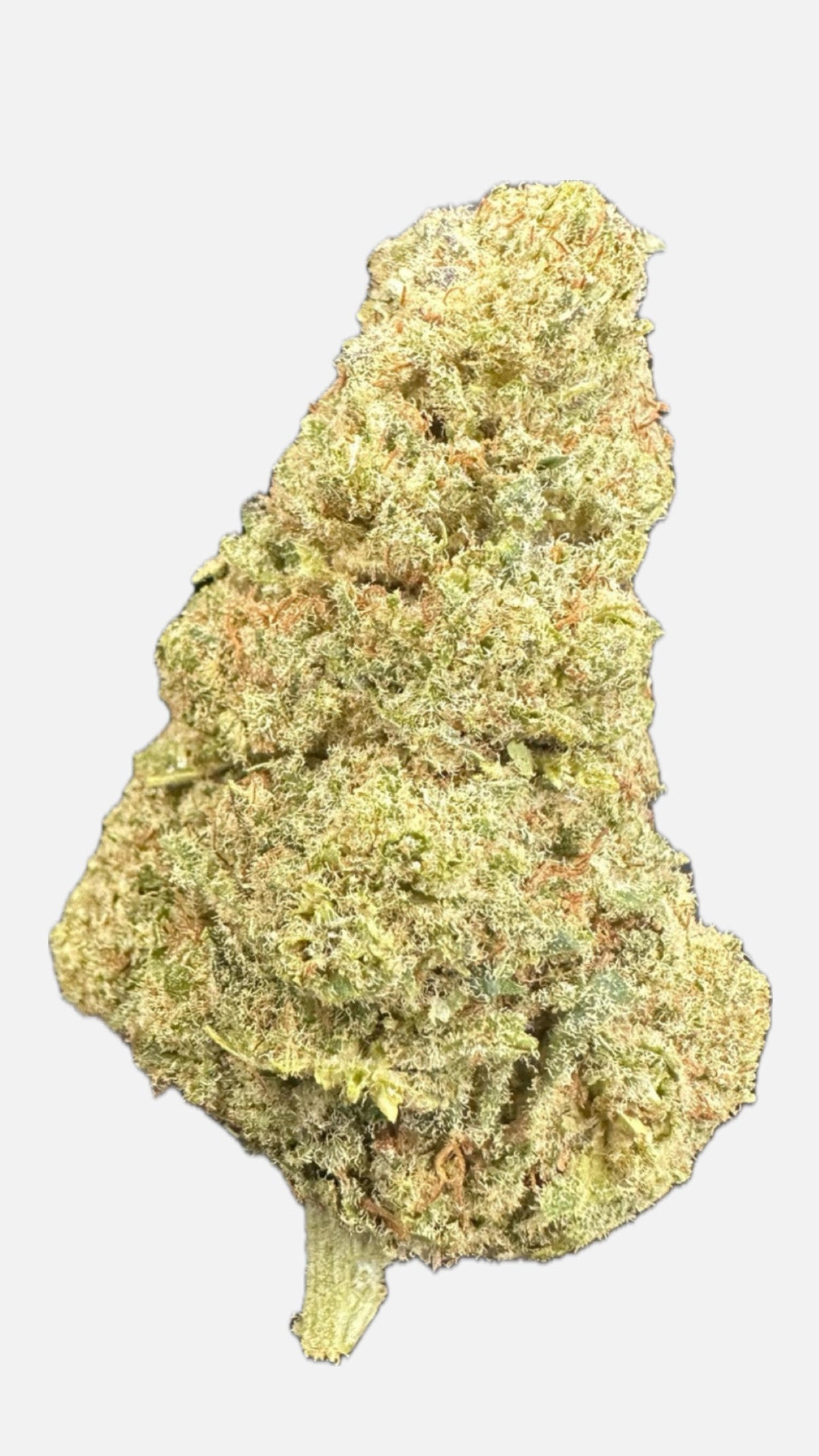 MEDELLIN INDOOR FLOWER CBD - 50G DESDE