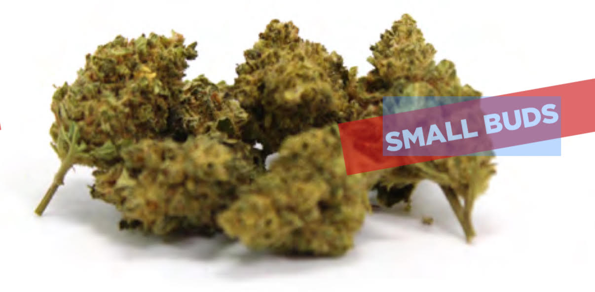 SUPER LEMON GLASSHOUSE small bud FLOWERS - 4G DESDE
